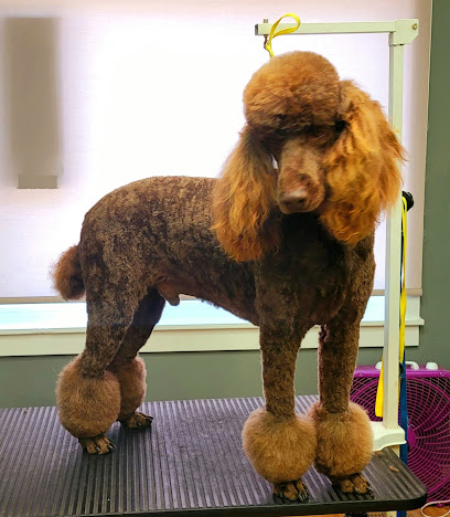 vanity fur dog grooming
