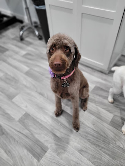 What the fluff Dog Grooming!?! Peluquero de mascotas | Oakdale, Minnesota, EE. UU. 1 What the fluff Dog Grooming