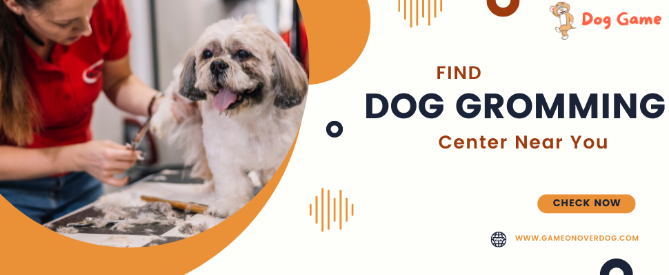 Dog Grooming Center near me