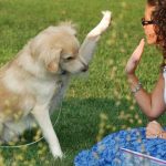 How to Teach a Puppy to High Five