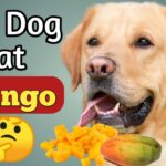 Can Dogs Eat Mango