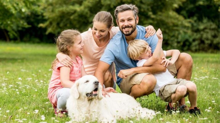 Characteristics of a Good Family Dog