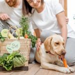 Can Dogs be Vegan or Vegetarian