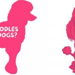 Are Poodles Good Dogs