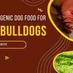 best Hypoallergenic Dog Food for French Bulldogs