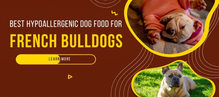 best Hypoallergenic Dog Food for French Bulldogs