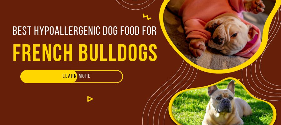 best Hypoallergenic Dog Food for French Bulldogs