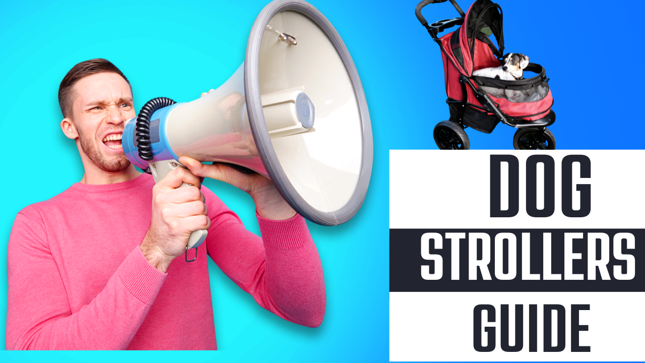 What are the Best Dog Strollers? How do Choose the Perfect one for Your Loved one