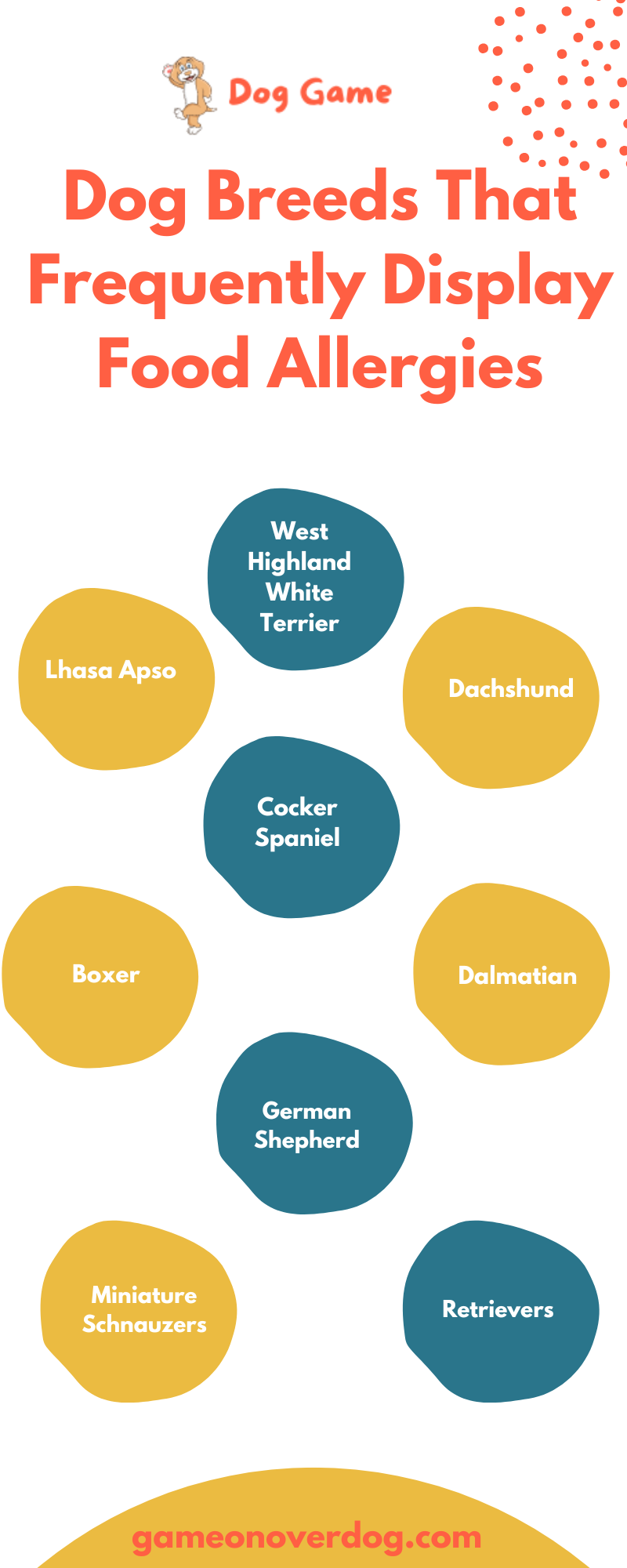 Best Hypoallergenic Dog Foods: Beginner Guide 2 Dog Breeds That Frequently Display Food Allergies