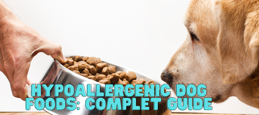 Hypoallergenic Dog Foods