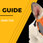 Best Dog Muzzle for Shih Tzu
