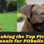 Muzzle for Pitbulls