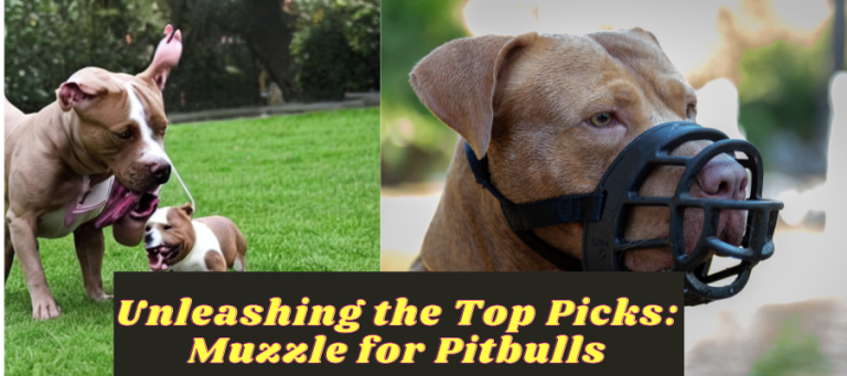 Muzzle for Pitbulls