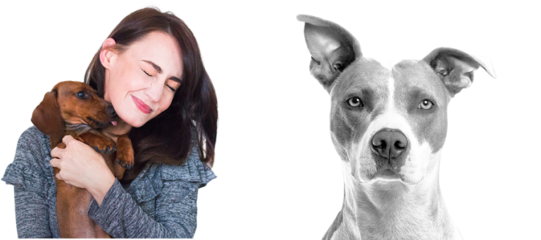 girl dog names