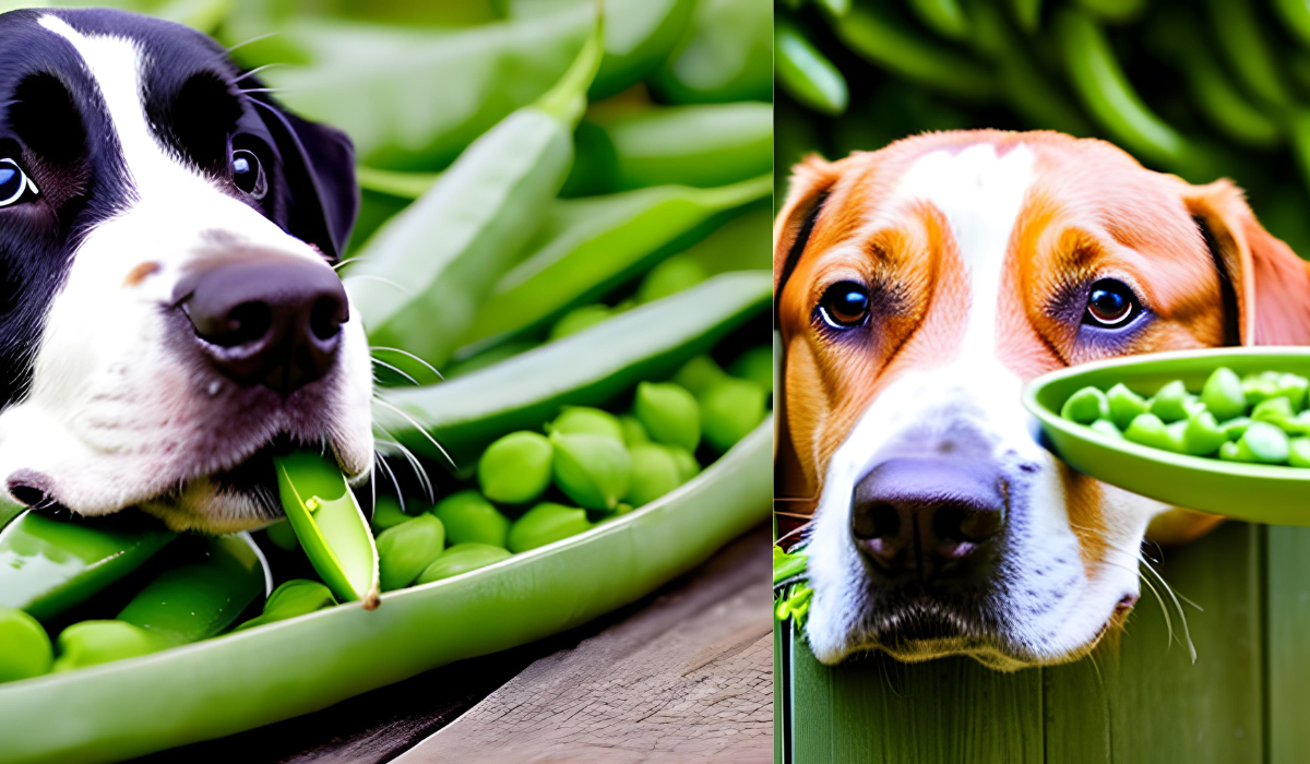 Can Dogs Eat Pea Pods