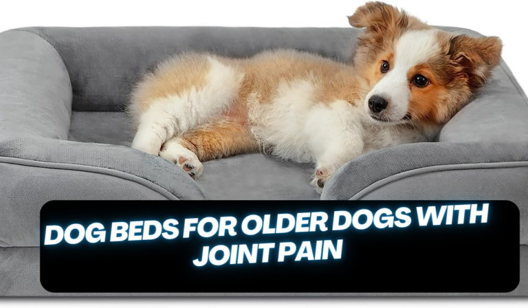 Dog Beds For Older Dogs With Joint Pain